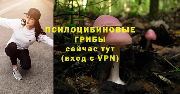 соль курить ск Сосновка