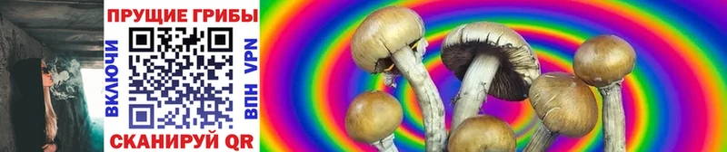Купить где  Лысьва  Псилоцибиновые грибы Psilocybe 
